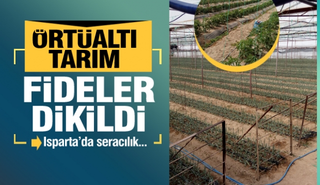 Isparta Seralarında Fide Dikimleri Tamamlandı