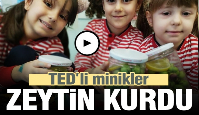 TED Isparta Koleji Minikleri Zeytin Kurdu!