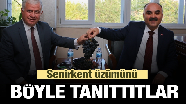 Isparta Valisi ve belediye başkanlarından üzüm tanıtımı   