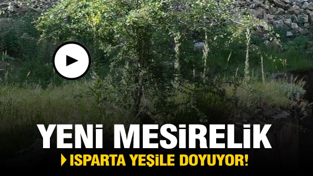 Isparta yeşile doyuyor, yeni
mesirelik alanına kavuşuyor