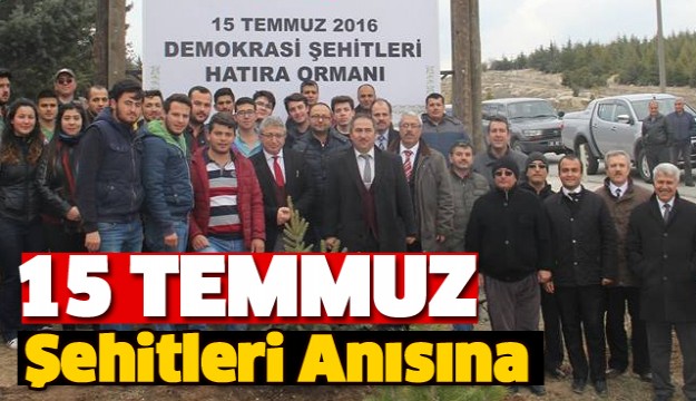 Isparta'da 15 Temmuz Şehitleri Anısına Fidan Dikildi