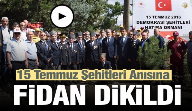 Isparta'da 15 Temmuz Şehitleri Anısına Fidan Dikildi