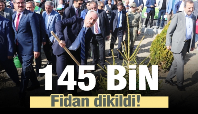 Isparta'da 26 ayrı bölgede 145 bin fidan dikildi