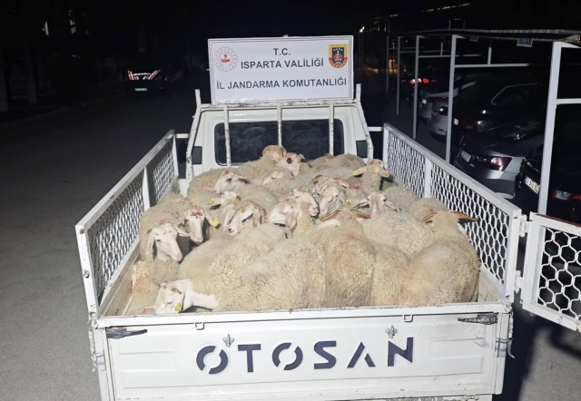 Isparta'da 32 küçükbaş hayvanı çalıp kaçtılar, Uşak’ta yakalandılar