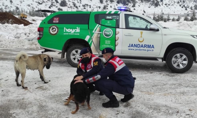 ISPARTA'DA AÇ KALAN SOKAK HAYVANLARI BESLENİYOR