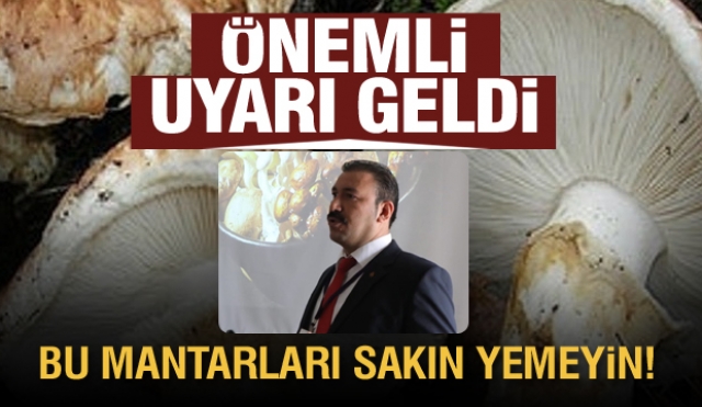 Isparta'da akademisyenlerden önemli uyarı: bu mantarlara dikkat!