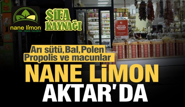 ISPARTA'DA ARI SÜTÜ, BAL, POLEN, PROPOLİS NANE LİMON AKTAR