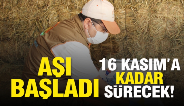 Isparta'da aşı uygulaması başladı...16 Kasım'a kadar devam edecek...