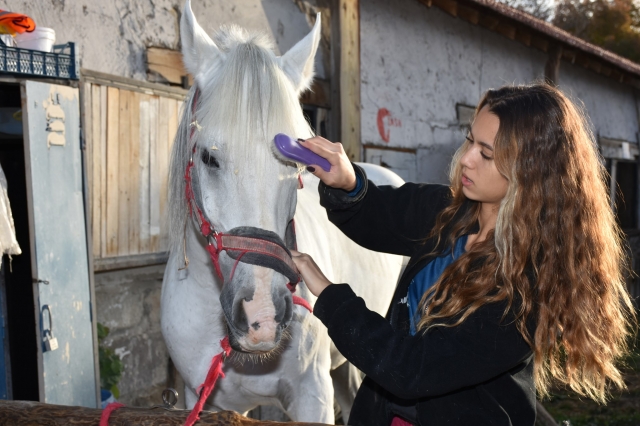 ISPARTA'DA ATLI DAYANIKLILIK TÜRKİYE ŞAMPİYONASI 