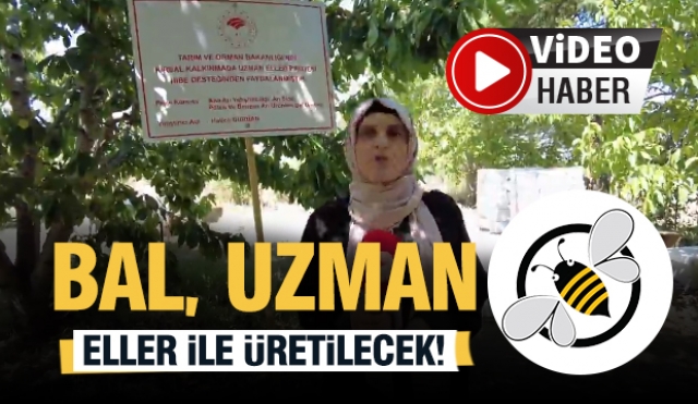Isparta'da Bal Uzman Eller İle Üretilecek!