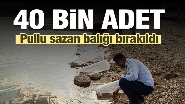 Isparta'da baraja binlerce pullu sazan bırakıldı