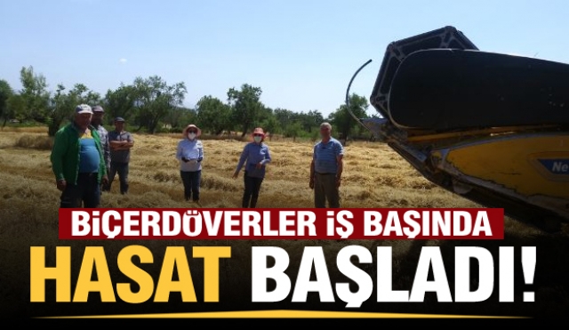 Isparta'da biçerdöverler iş başında, hububat hasadı başladı