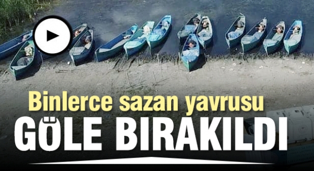 ISPARTA'DA BİNLERCE SAZAN YAVRUSU GÖLE BIRAKILDI