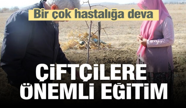 Isparta'da bir çok hastalığa deva bitki için eğitim...