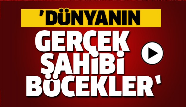 ISPARTA'DA BÖCEK MÜZESİNDE 20 BİN BÖCEK YER ALIYOR!