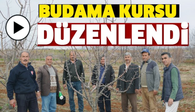 Isparta'da Budama Kursu Düzenlendi