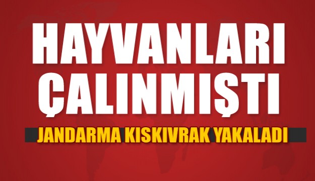 ISPARTA'DA BÜYÜKBAŞ HAYVAN HIRSIZLIĞI