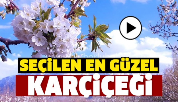 ISPARTA'DA ÇEKİLEN EN GÜZEL KARÇİÇEĞİ FOTOĞRAFI