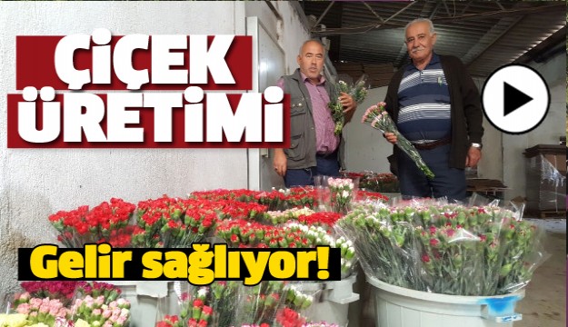 ISPARTA'DA ÇİÇEK ÜRETİMİ GELİR SAĞLIYOR