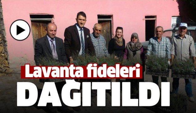 Isparta'da Çiftçilerimize Lavanta Fidesi Dağıtımları Yapıldı