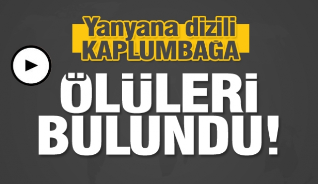 Isparta'da çok sayıda kaplumbağa ölüsü bulundu 