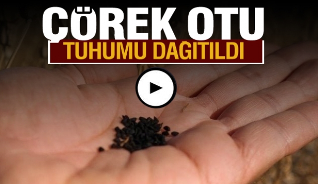 Isparta'da Çörek Otu Tohumlarının Dağıtımı Gerçekleştirildi