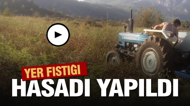 Isparta'da Demonstrasyonu Kurulan Yerfıstığının Hasadı Yapıldı