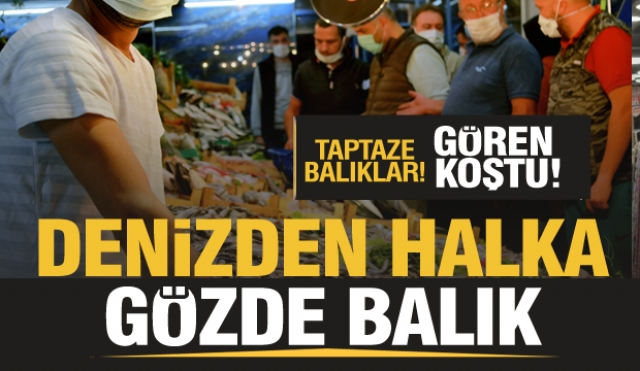 ISPARTA'DA DENİZDEN HALKA TAZE BALIK!