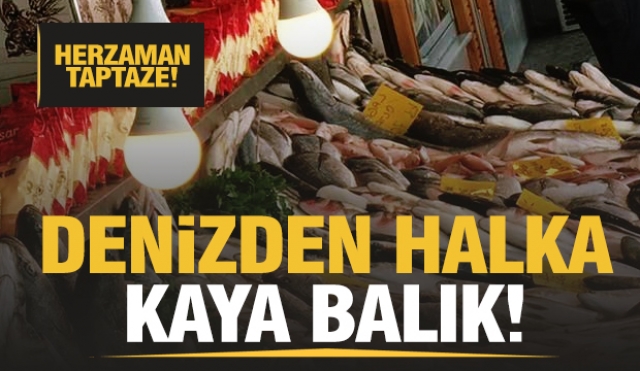 Isparta'da denizden sonra en taze balık Kaya Balık'ta!