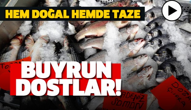 ISPARTA'DA DOĞAL BALIKLAR TEZGAHLARDA YERİNİ ALDI