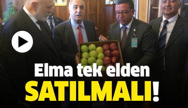 ISPARTA'DA ELMA BİRLİĞİ YADA ŞİRKETİ...