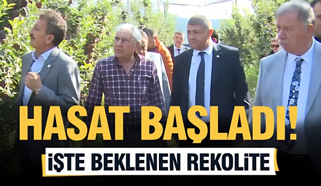 Isparta'da elma hasadı başladı