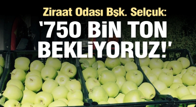 Isparta'da elma hasadına başlandı