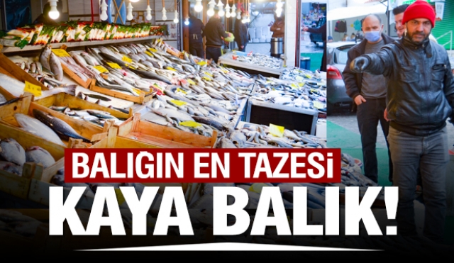 ISPARTA'DA EN LEZZETLİ VE TAZE BALIKLAR KAYA BALIK'TA
