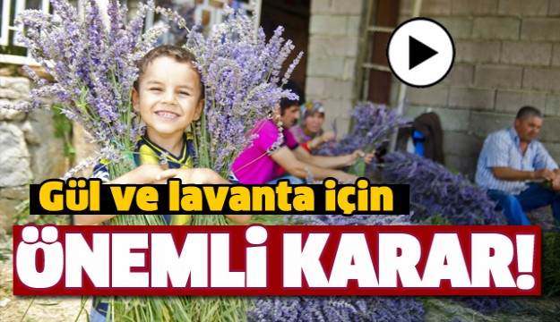 ISPARTA'DA GÜL VE LAVANTA İÇİN ÖNEMLİ KARAR!
