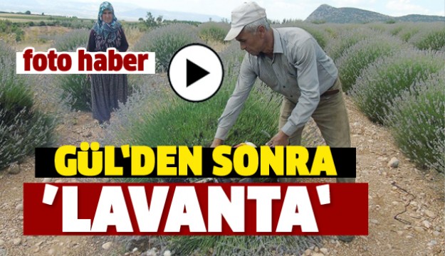 ISPARTA'DA GÜL'DEN SONRA ’’LAVANTA’’