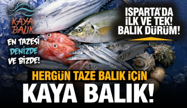 ISPARTA'DA GÜNLÜK TAZE BALIK İÇİN ADRES KAYA BALIK