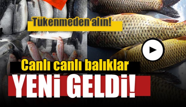 ISPARTA'DA HAFSA SONU BALIKLARI TEZGAHLARDA YERİNİ ALDI