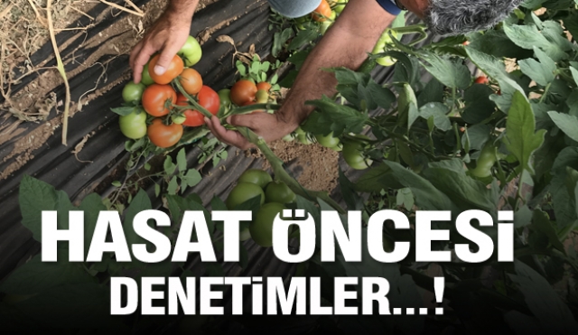 Isparta'da Hasat Öncesi Pestisit Denetimleri Devam Ediyor