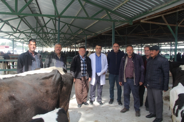Isparta'da Hayvan Pazarı Açıldı