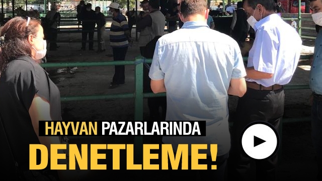 Isparta'da Hayvan Pazarlarında Denetimler Arttırıldı