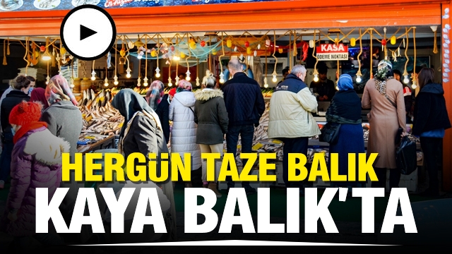 ISPARTA'DA HERGÜN TAZE BALIK KAYA BALIK'TA