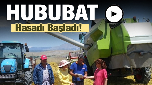 ISPARTA'DA HUBUBAT HASADI BAŞLADI