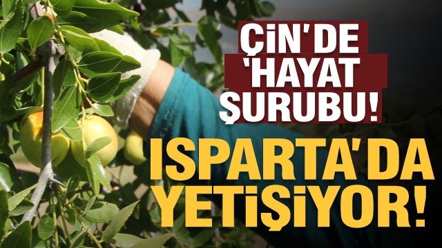 ISPARTA'DA HÜNNAP HASADI