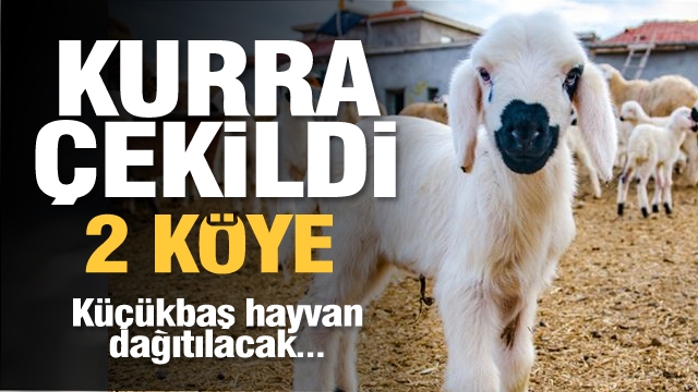 Isparta'da iki köye küçükbaş hayvan desteği