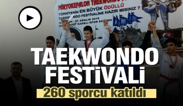 ISPARTA'DA İLÇEDE TAEKWONDO FESTIVALI YAPILDI