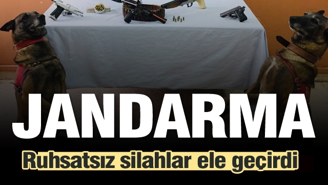 Isparta'da  Jandarma ruhsatsız silahlar ele geçirdi