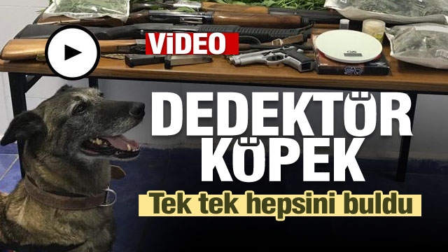 Isparta'da Jandarmadan geniş kapsamlı uyuşturucu operasyonu! 