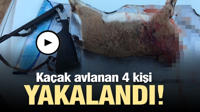 Isparta'da Kaçak Yaban Keçisi Avlayan 4 Kişi Yakalandı