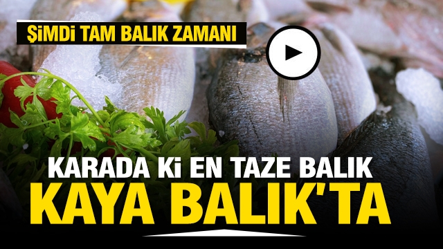 ISPARTA'DA KARADA Kİ EN TAZE BALIKLAR KAYA BALIK'TA